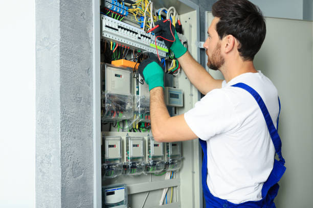Best Industrial Electrical Services  in Risg Sun, IN